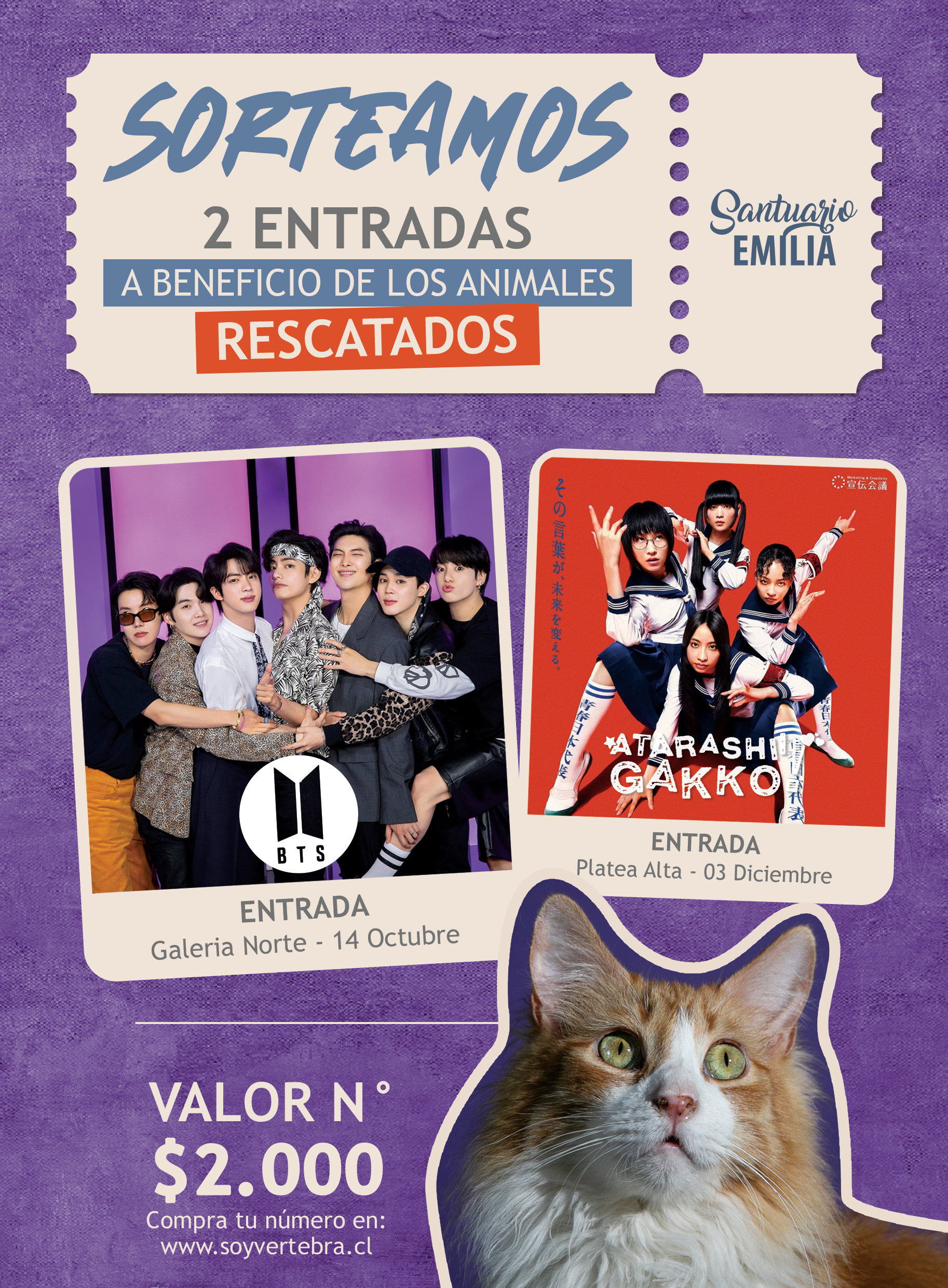 Sorteo a beneficio